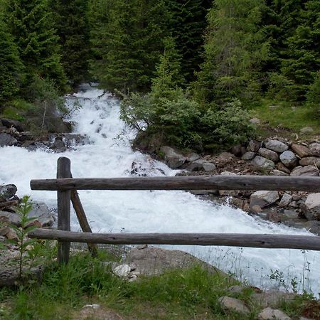 Chalet Bambi Villa Rabbi Dış mekan fotoğraf