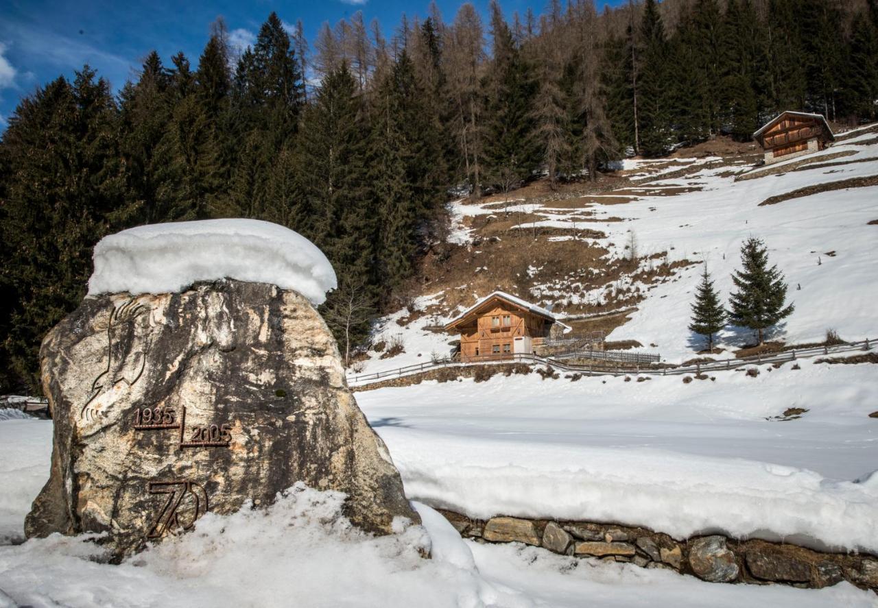 Chalet Bambi Villa Rabbi Dış mekan fotoğraf