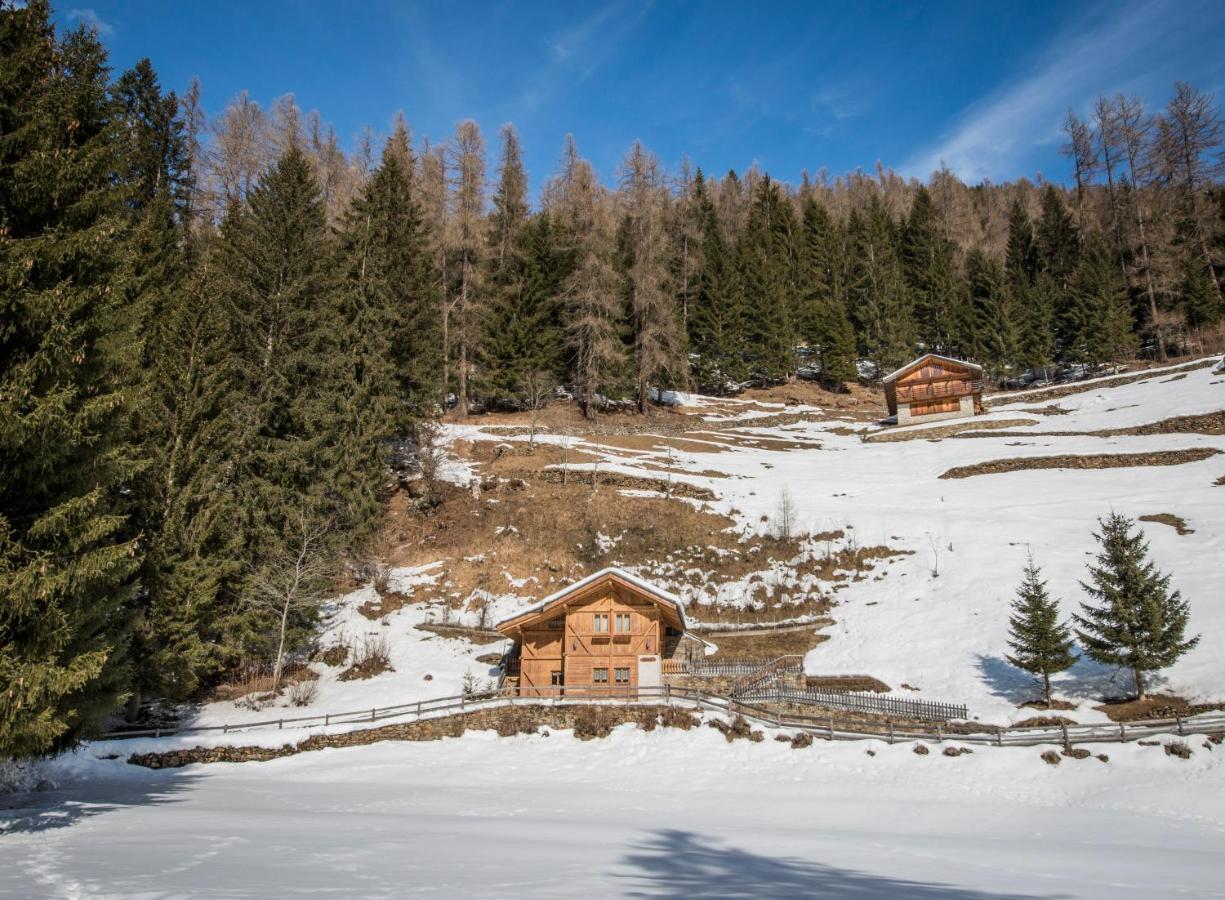 Chalet Bambi Villa Rabbi Dış mekan fotoğraf