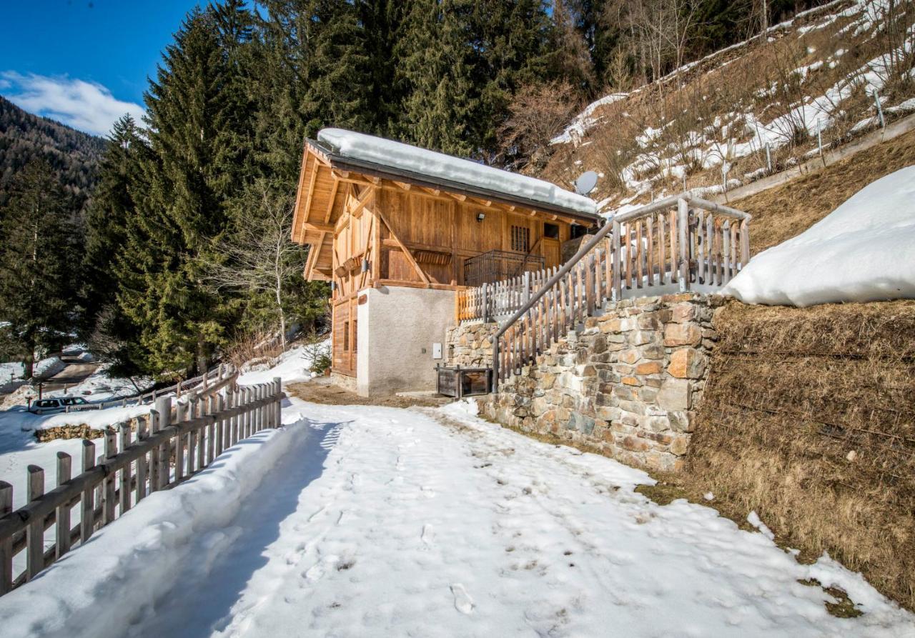 Chalet Bambi Villa Rabbi Dış mekan fotoğraf