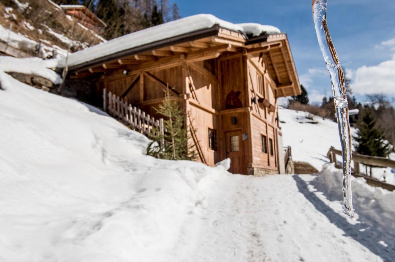 Chalet Bambi Villa Rabbi Dış mekan fotoğraf