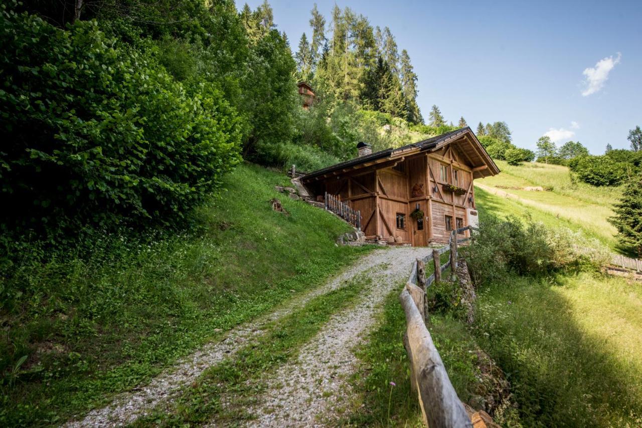 Chalet Bambi Villa Rabbi Dış mekan fotoğraf