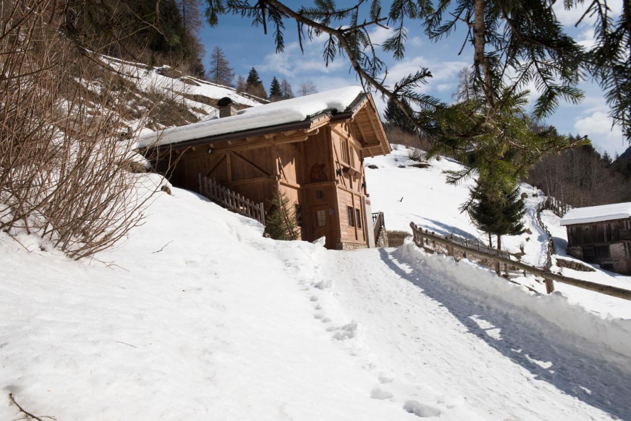 Chalet Bambi Villa Rabbi Dış mekan fotoğraf