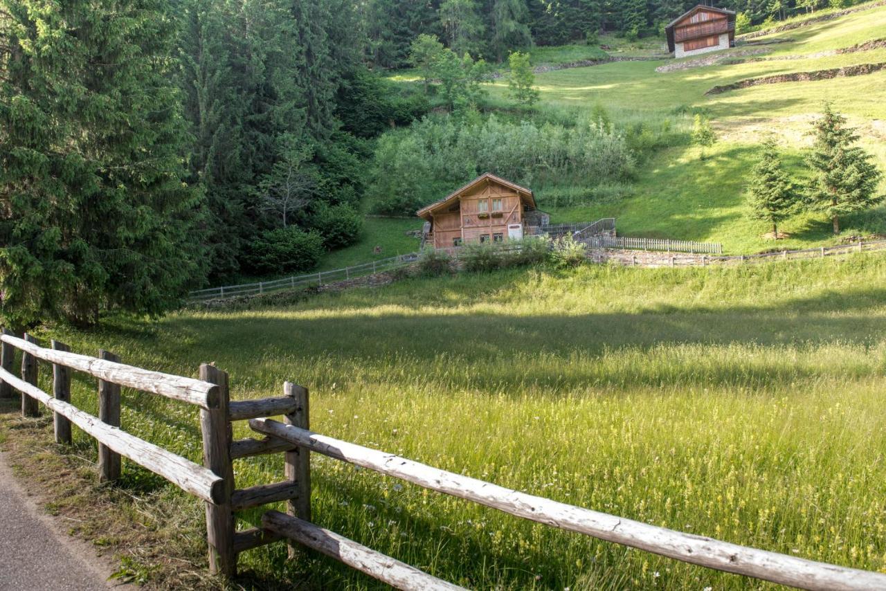 Chalet Bambi Villa Rabbi Dış mekan fotoğraf