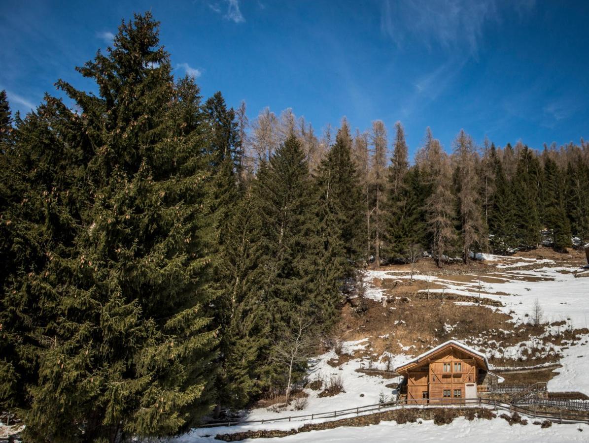 Chalet Bambi Villa Rabbi Dış mekan fotoğraf