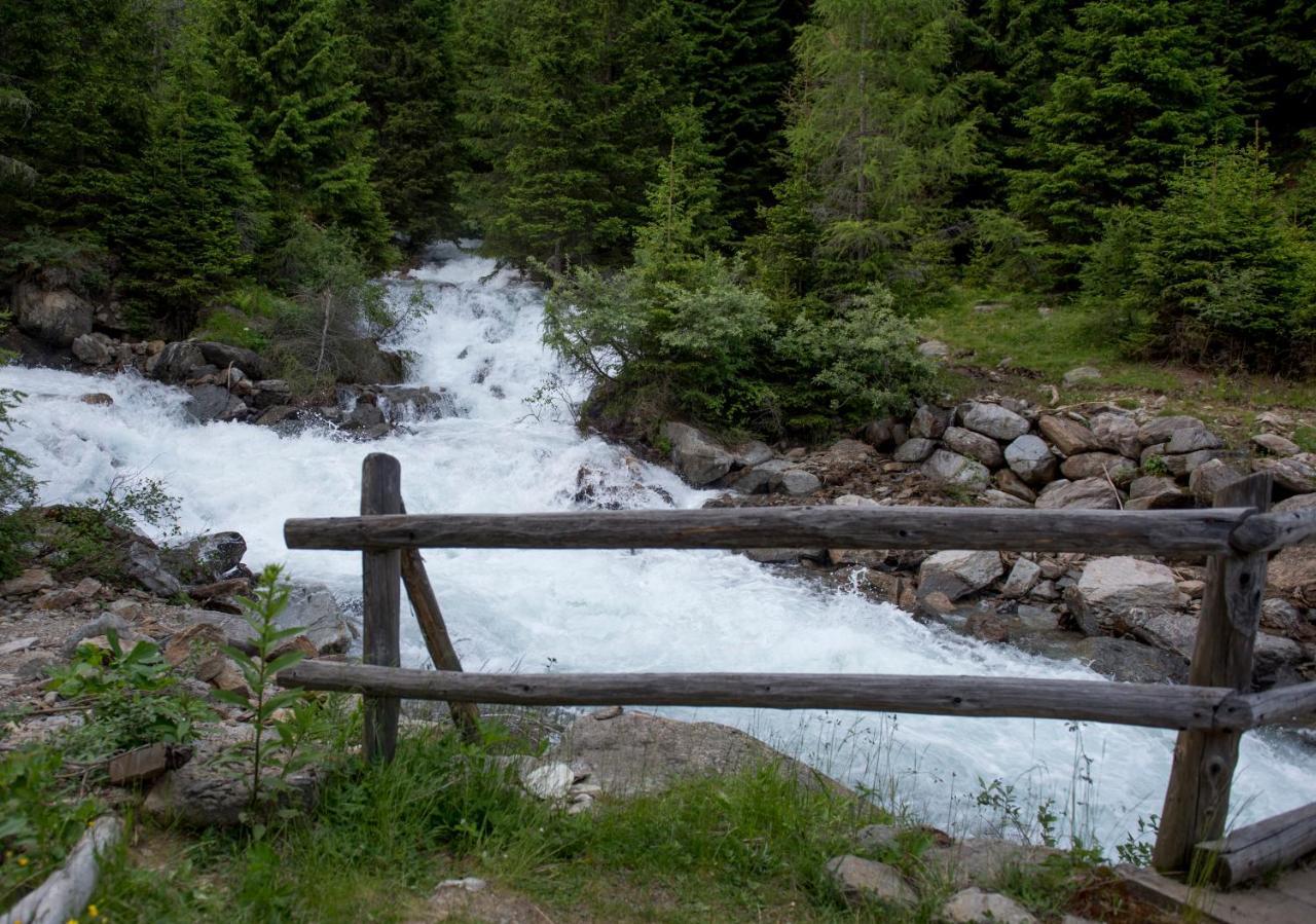 Chalet Bambi Villa Rabbi Dış mekan fotoğraf