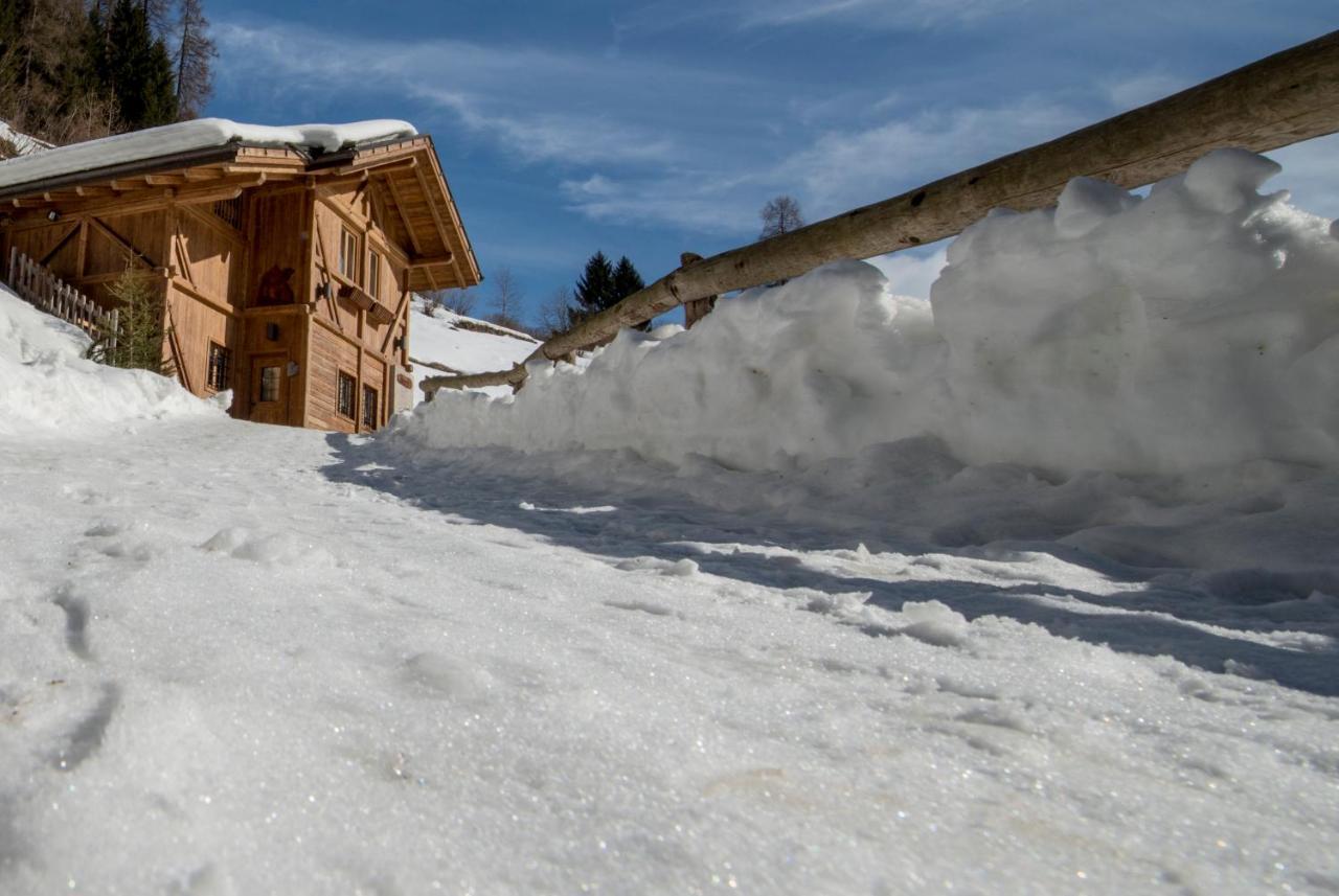 Chalet Bambi Villa Rabbi Dış mekan fotoğraf