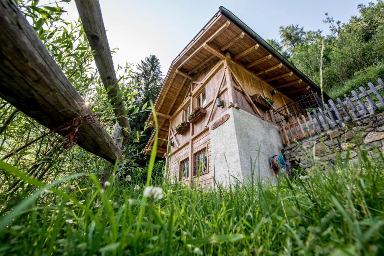 Chalet Bambi Villa Rabbi Dış mekan fotoğraf