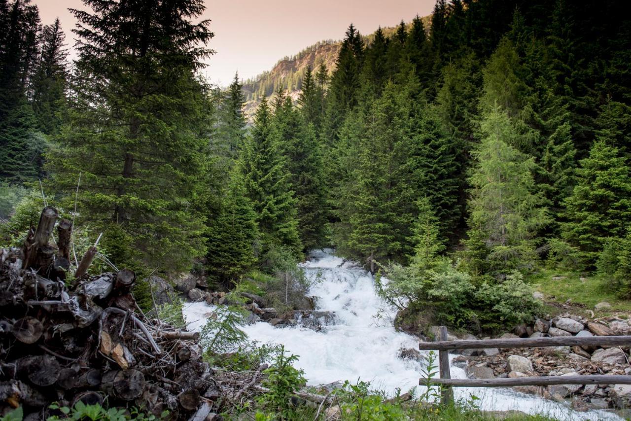 Chalet Bambi Villa Rabbi Dış mekan fotoğraf