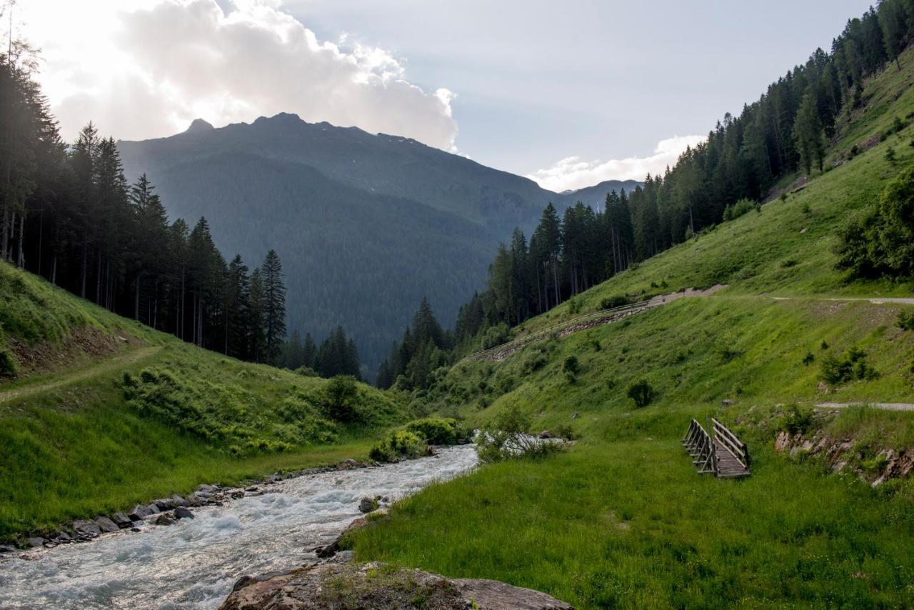 Chalet Bambi Villa Rabbi Dış mekan fotoğraf