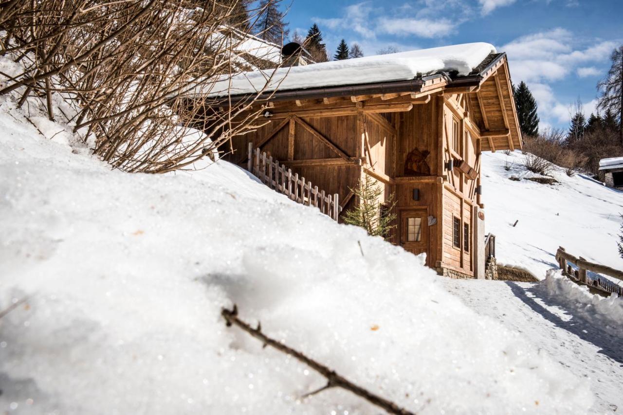 Chalet Bambi Villa Rabbi Dış mekan fotoğraf