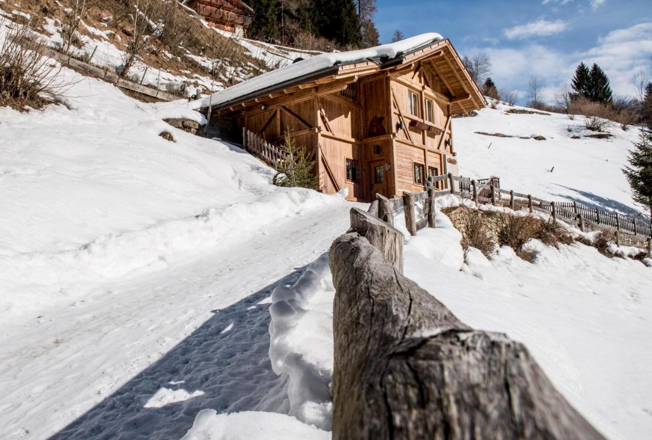 Chalet Bambi Villa Rabbi Dış mekan fotoğraf