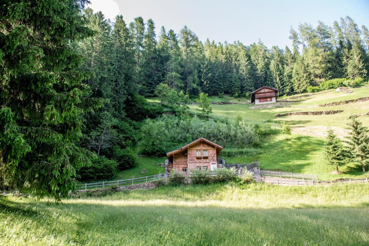 Chalet Bambi Villa Rabbi Dış mekan fotoğraf