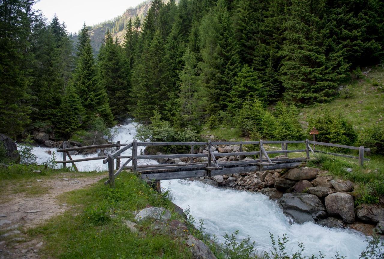 Chalet Bambi Villa Rabbi Dış mekan fotoğraf