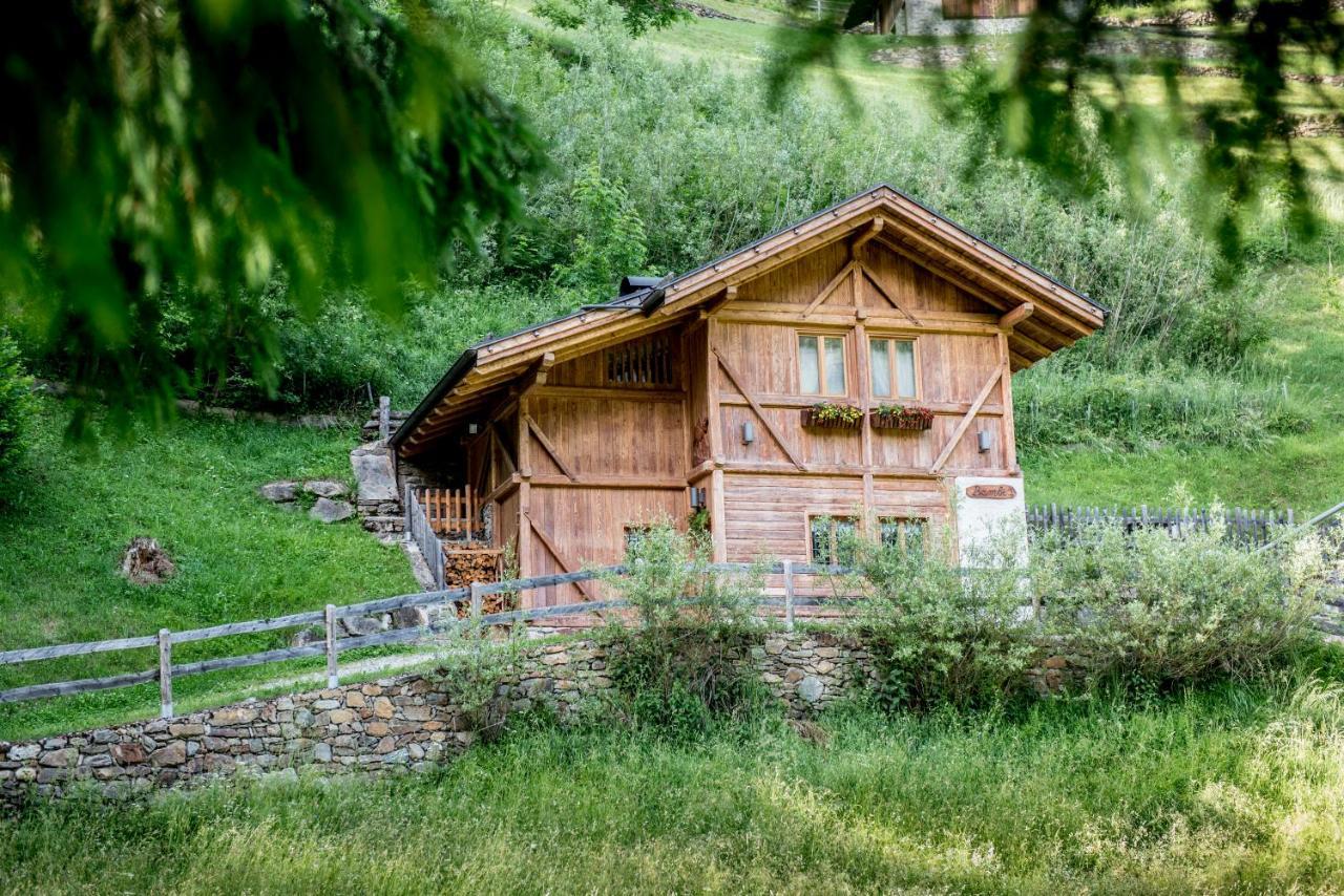 Chalet Bambi Villa Rabbi Dış mekan fotoğraf