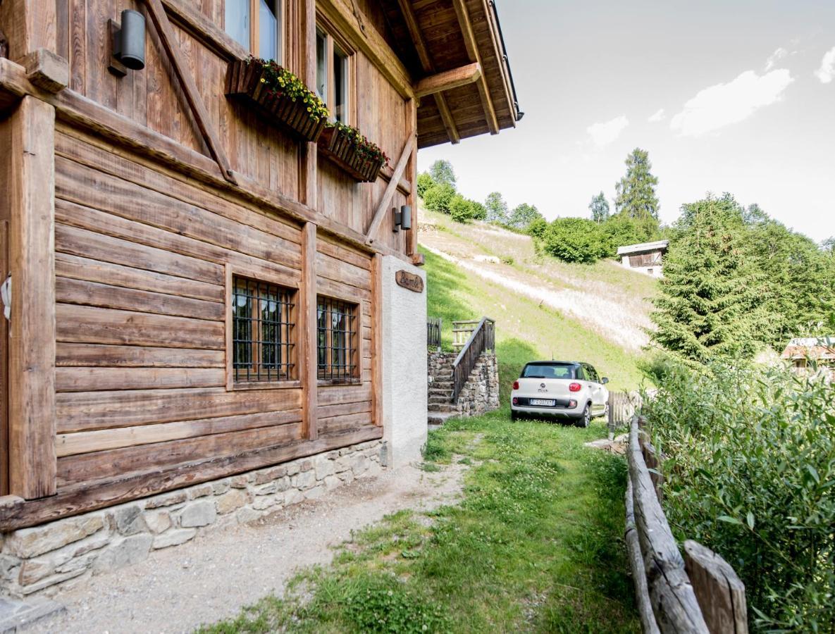 Chalet Bambi Villa Rabbi Dış mekan fotoğraf