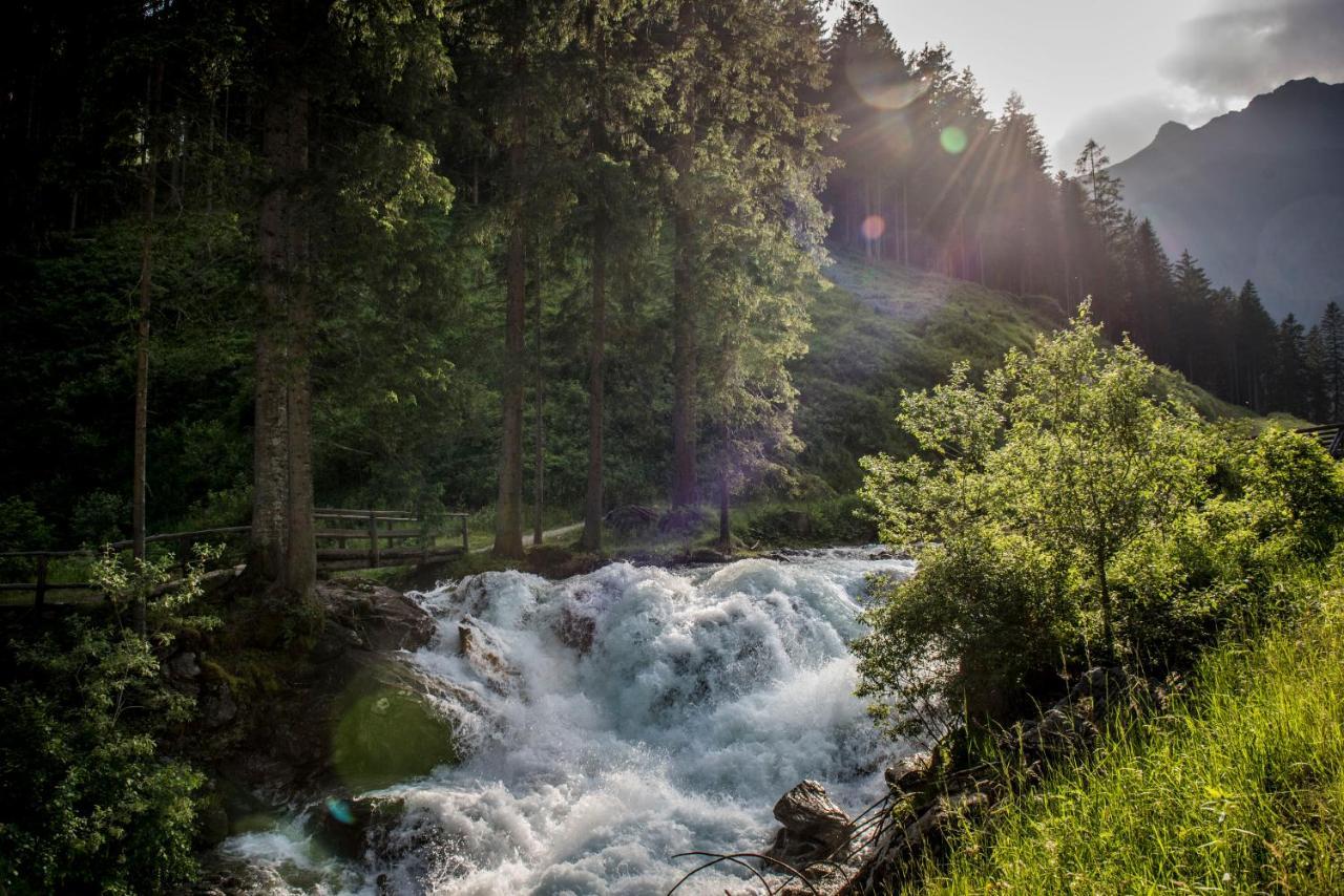 Chalet Bambi Villa Rabbi Dış mekan fotoğraf